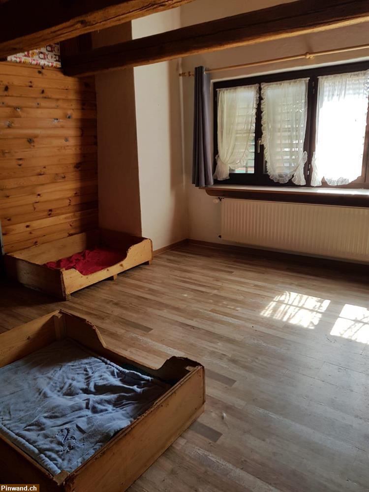 Bild 7: Hundepension, Hund hüten, Ferienplatz, Tagesplatz, Dogsitting, Tierheim