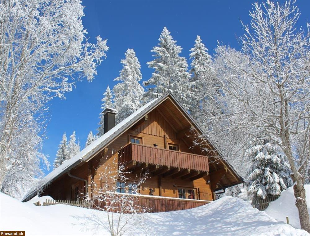 Bild 1: John.B lodge - Das Ferienhaus auf dem Feldberg (D) zu vermieten