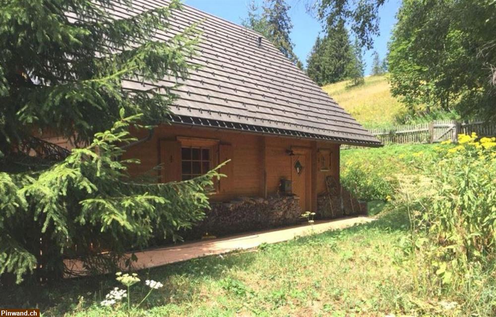 Bild 15: John.B lodge - Das Ferienhaus auf dem Feldberg (D) zu vermieten