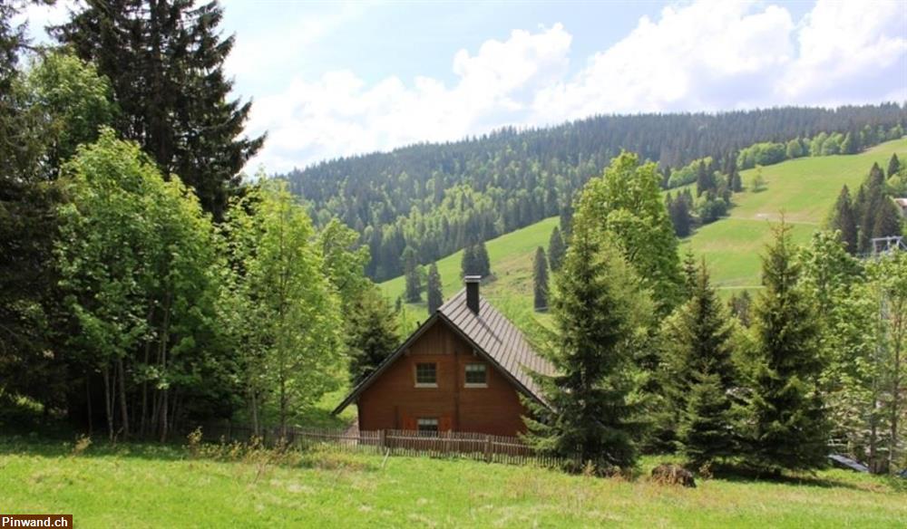 Bild 16: John.B lodge - Das Ferienhaus auf dem Feldberg (D) zu vermieten