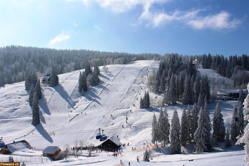 Bild 18: John.B lodge - Das Ferienhaus auf dem Feldberg (D) zu vermieten