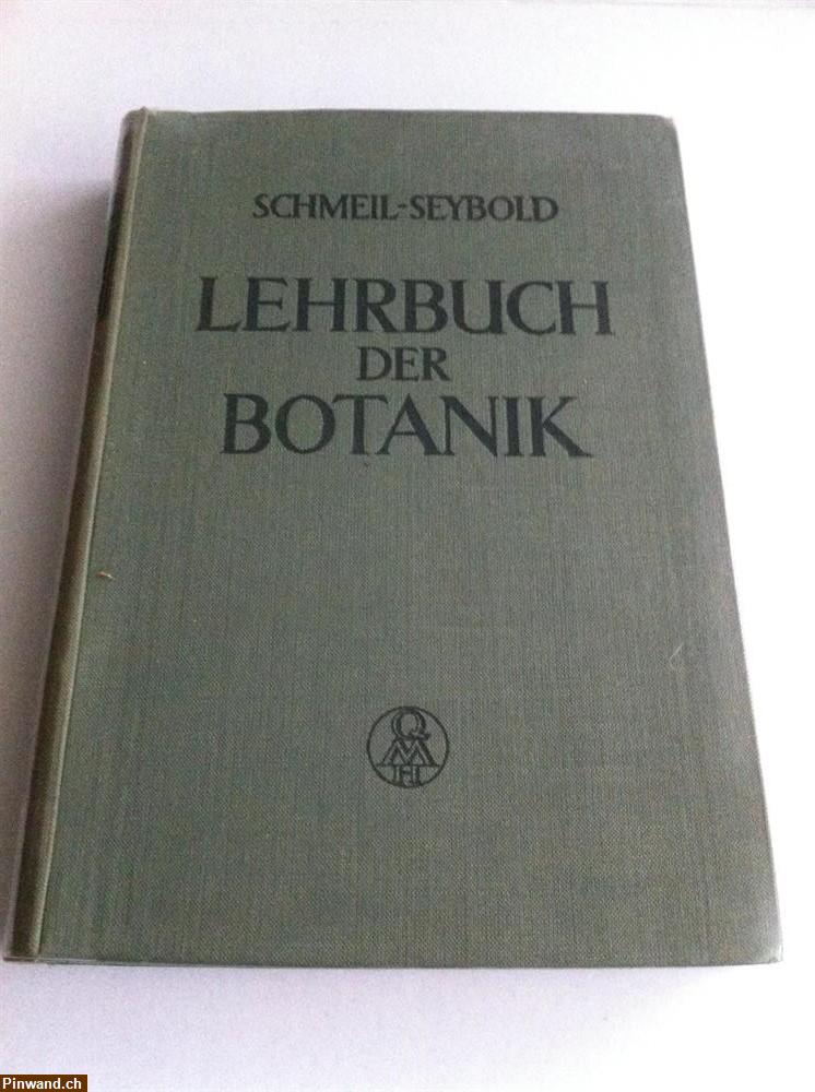 Bild 3: Lehrbuch der Botanik 1950
