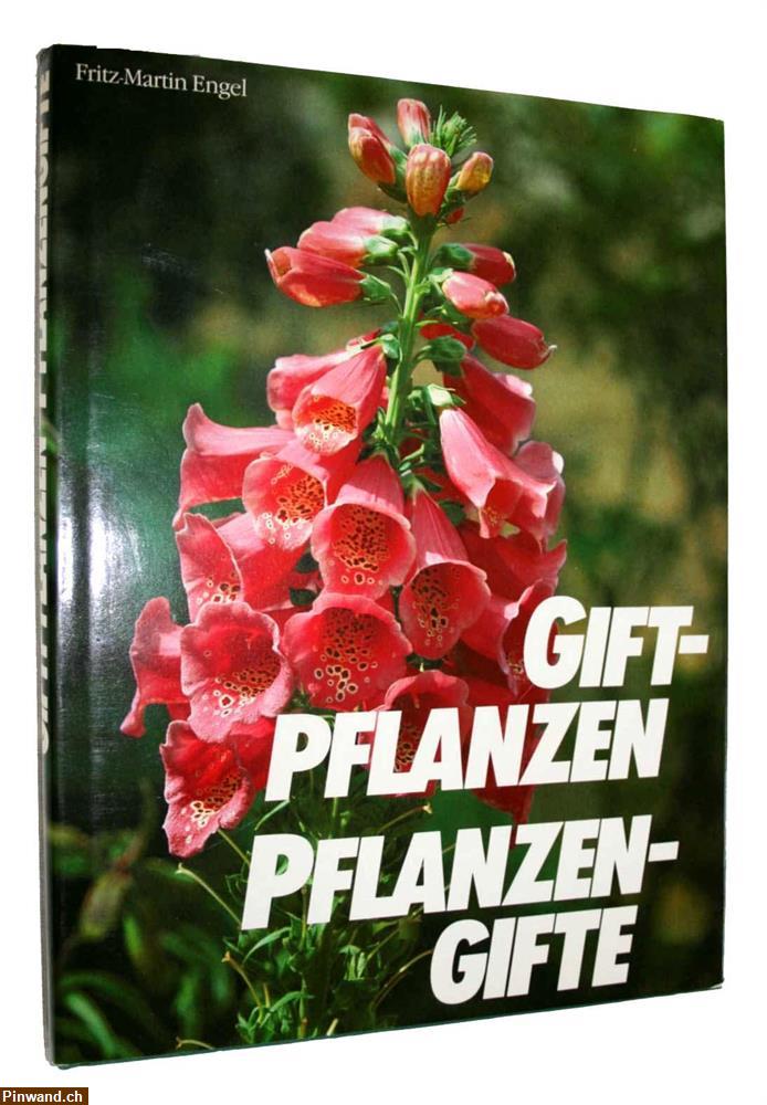 Bild 1: Giftpflanzen - Pflanzengifte