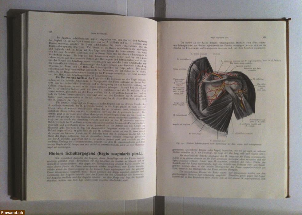 Bild 2: Lehrbuch der Topographischen Anatomie 1920