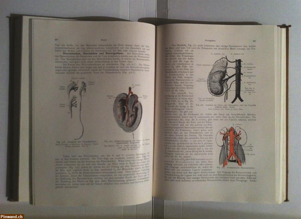 Bild 3: Lehrbuch der Topographischen Anatomie 1920
