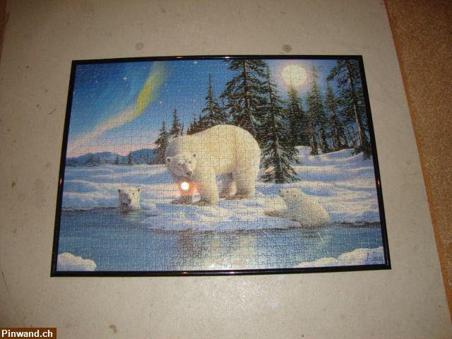 Bild 1: Eisbären Puzzle mit Rahmen