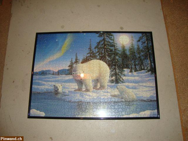 Bild 2: Eisbären Puzzle mit Rahmen