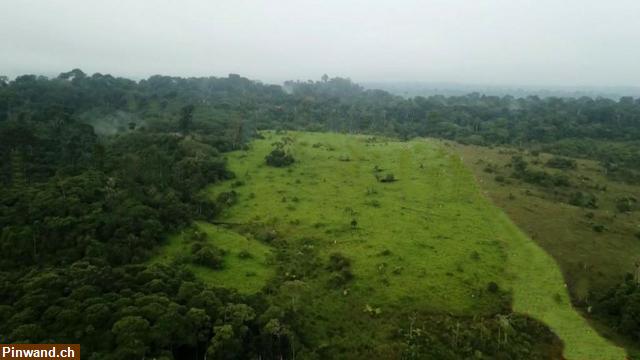 Bild 1: Brasilien 1000 Ha Land bei der Erdoel - Erdgas Stadt Silves AM