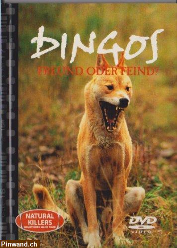 Bild 1: Expedition Tierreich - Gefürchtete Jäger, 6 DVDs zur Auswahl