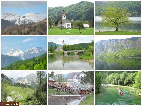 Bild 2: FeWo in Bohinj (Julische Alpen) - Slowenien zu vermieten