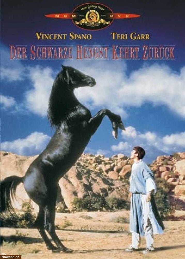 Bild 1: Der schwarze Hengst kehrt zurück - 2 DVD, Abenteuerfilm zu verkaufen