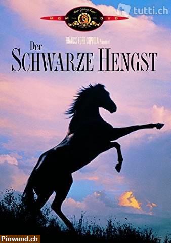 Bild 2: Der schwarze Hengst kehrt zurück - 2 DVD, Abenteuerfilm zu verkaufen