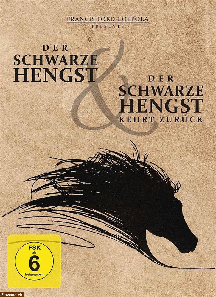 Bild 3: Der schwarze Hengst kehrt zurück - 2 DVD, Abenteuerfilm zu verkaufen