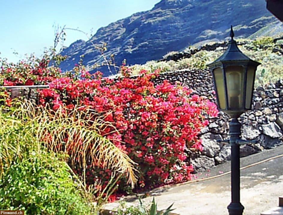 Bild 3: Anwesen mit Pool und Panoramablick auf El Hierro