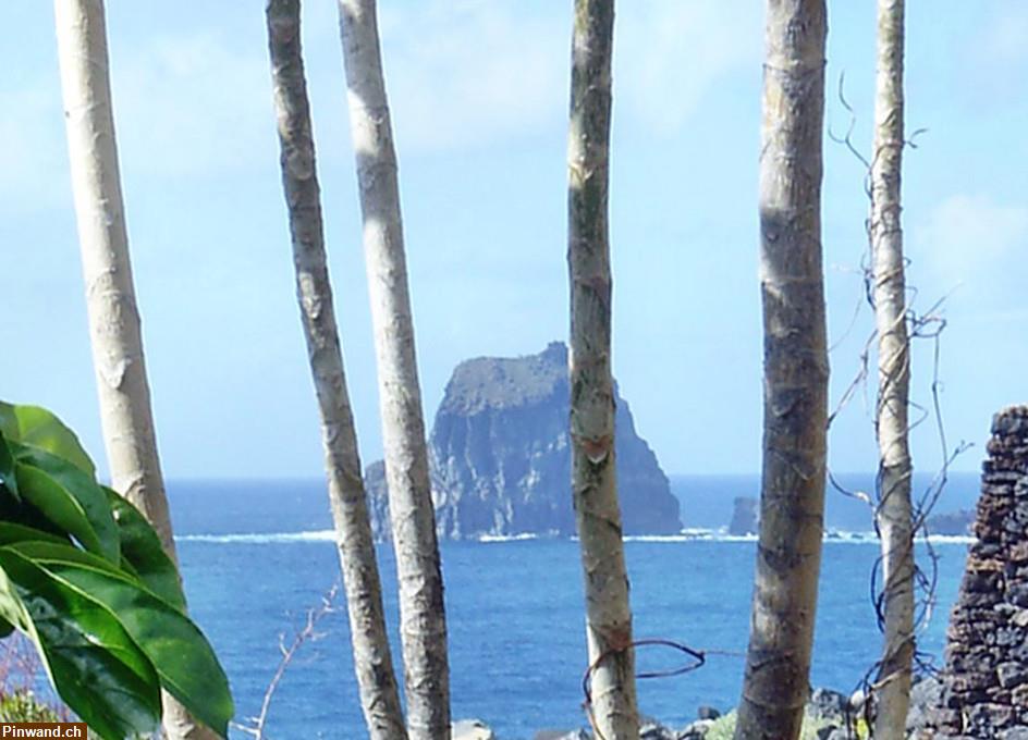 Bild 4: Anwesen mit Pool und Panoramablick auf El Hierro