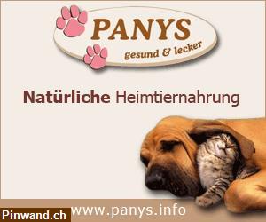 Bild 1: Suchen tierliebe Wiederverkäufer | ein sehr nachhaltiger Job.