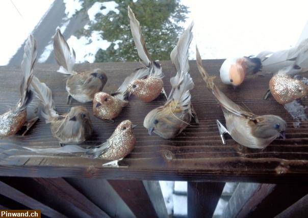 Bild 1: Dekorationsvögelchen mit echten Federn (10 Stk.)