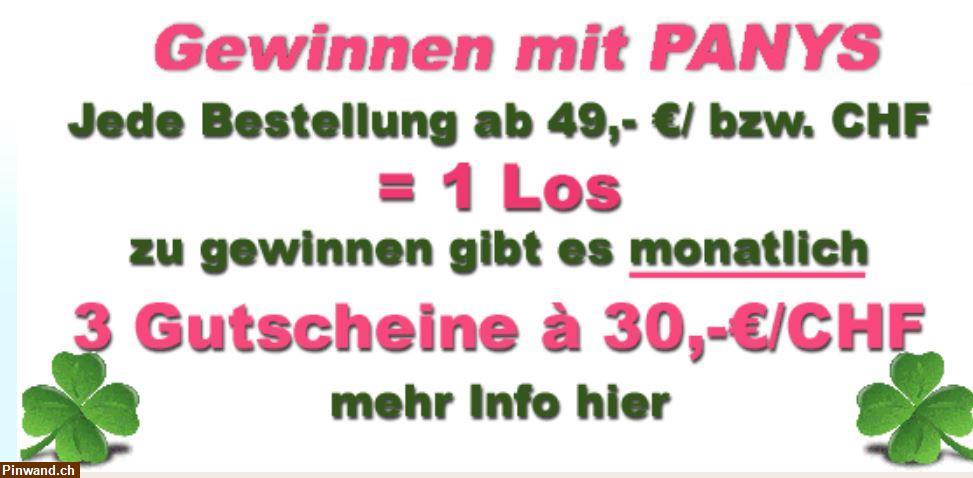 Bild 3: Adult-H Midi Huhn - die PANYS Alleinnahrung für Hunde