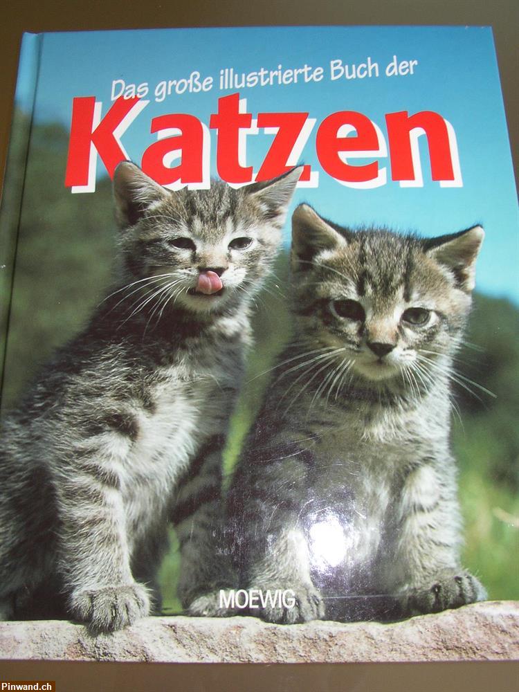 Bild 1: Katzenbuch Buch Katzenratgeber Ratgeber Katze