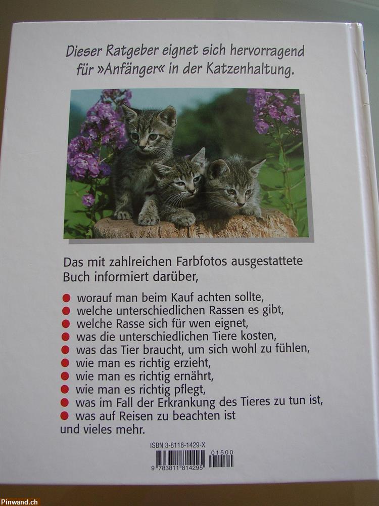 Bild 2: Katzenbuch Buch Katzenratgeber Ratgeber Katze