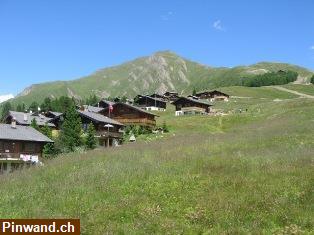 Bild 6: Zu  vermieten: Ferienchalet auf dem Rosswald VS