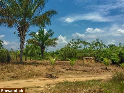 Bild 3: Brasilien 1000 Ha grosses Tiefpreis-Grundstück südwestlich von Manaus AM