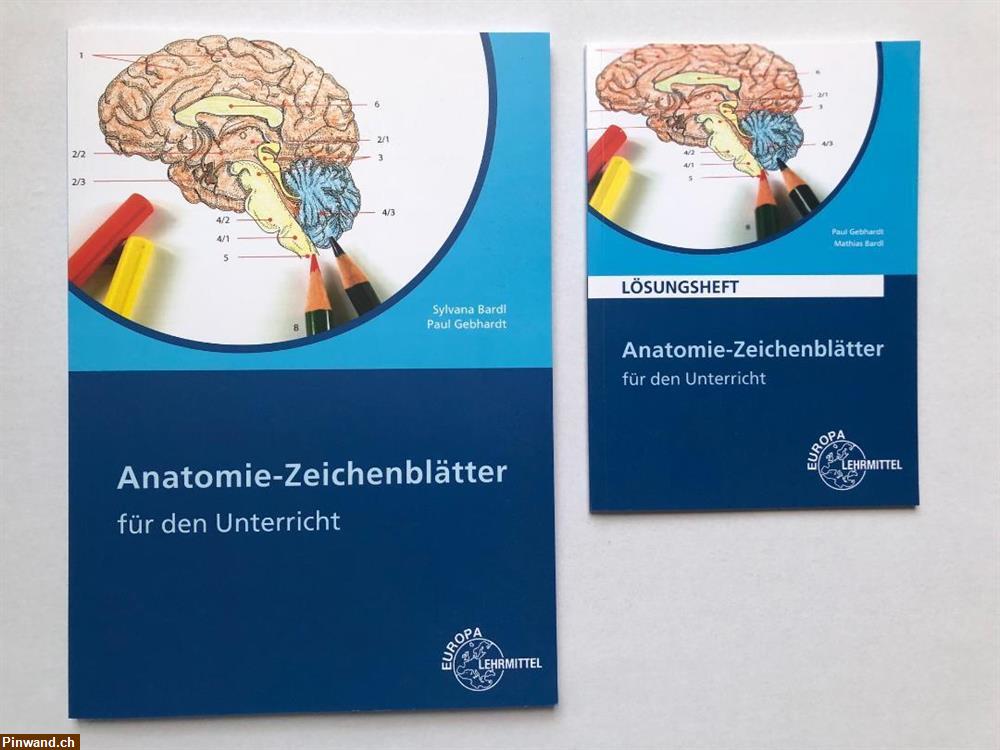 Bild 1: Anatomie-Zeichenblätter zu verkaufen