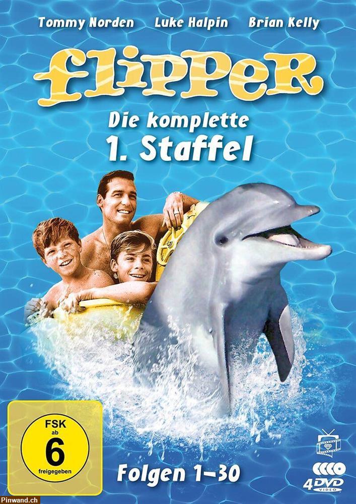 Bild 1: Flipper kommt zurück - Die Kultserie der 60er auf 4 DVDs, Staffel 1 u. 2