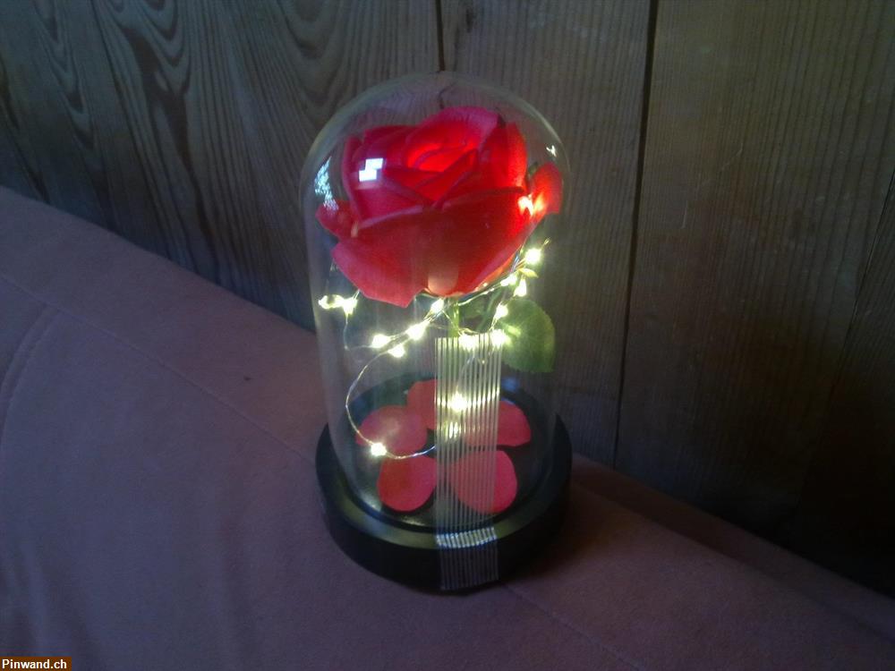 Bild 3: Rote Rose von Sharon mit LED-Kette, im Glasdeckel