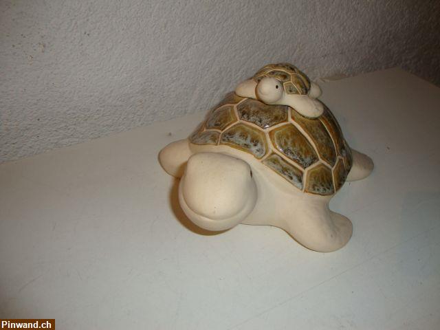 Bild 2: 2 Schildkröten für Deko zu verkaufen