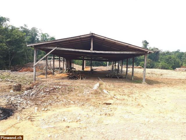 Brasilien 294 Ha Bauernhaus Tiefpreis-Grundstück bei Presidente Figueiredo AM