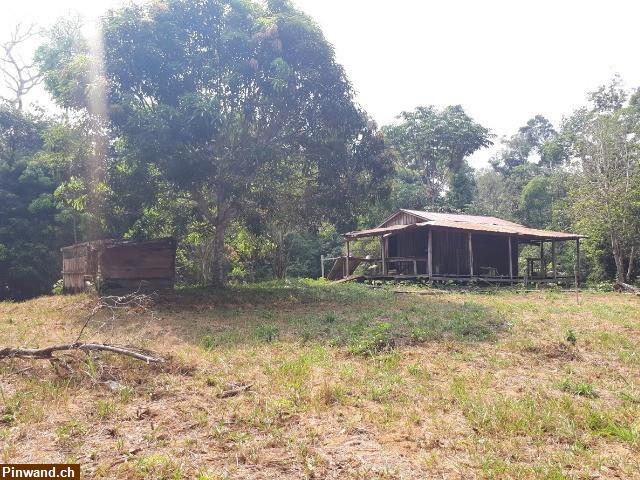 Brasilien 294 Ha Bauernhaus Tiefpreis-Grundstück bei Presidente Figueiredo AM