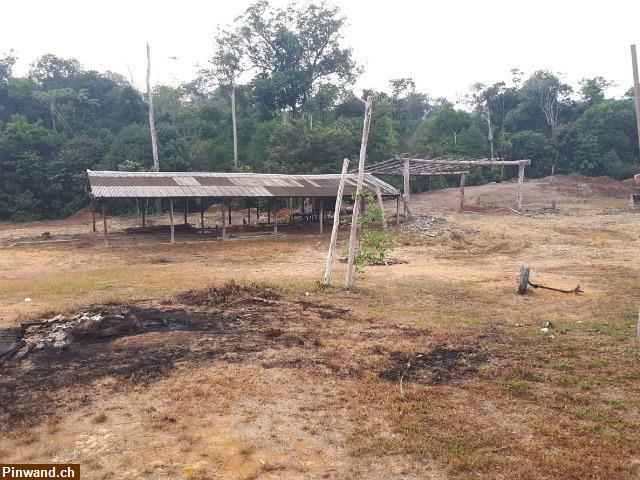 Brasilien 294 Ha Bauernhaus Tiefpreis-Grundstück bei Presidente Figueiredo AM