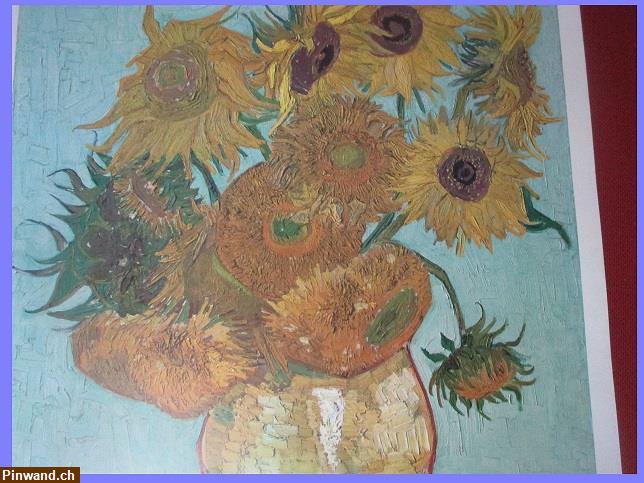 Bild 3: Plakat Vincent van Gogh Sonnenblume
