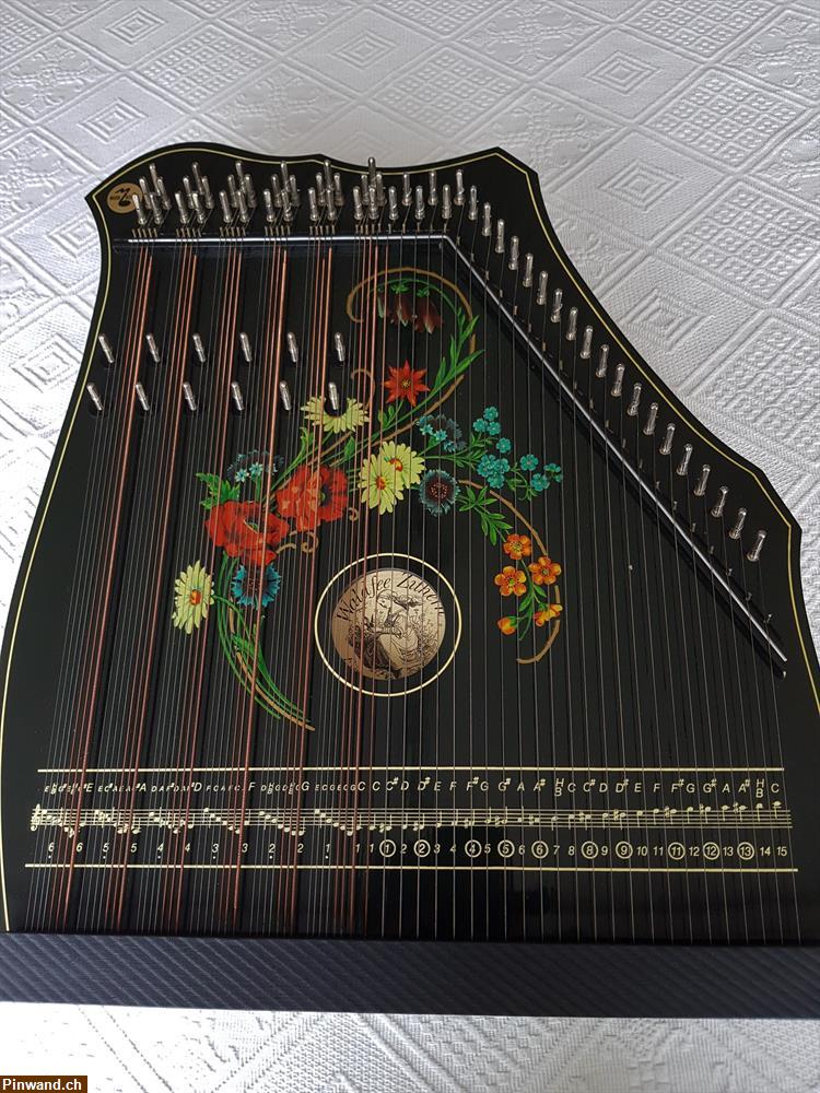 Bild 1: Akkordzither Unterricht