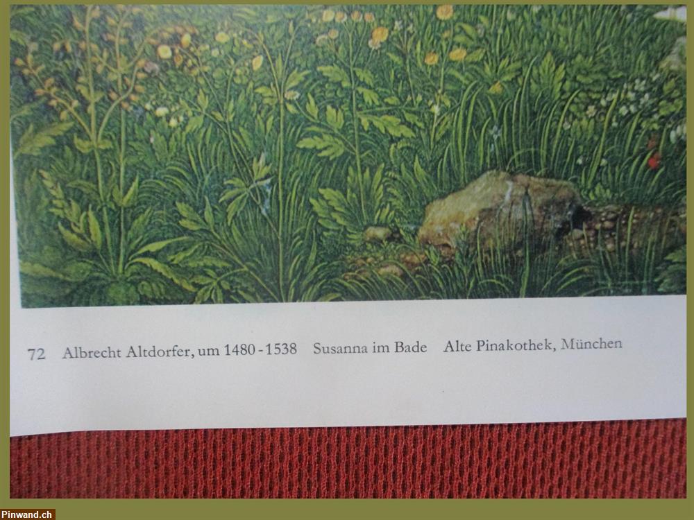 Bild 6: Bild / Plakat von Albrecht Altdorfer | Susanna im Bade