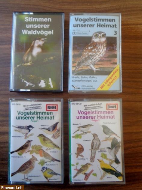 Bild 1: Vogelstimmen (4 Hörspiel Kassetten) zu verkaufen