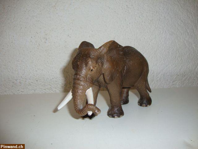 Bild 1: Elefant Schleich zu verkaufen
