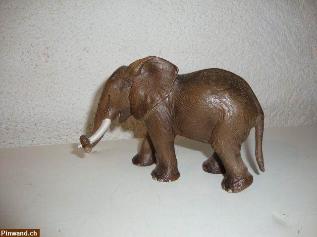 Bild 2: Elefant Schleich zu verkaufen