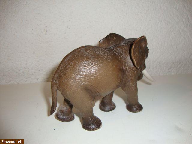 Bild 3: Elefant Schleich zu verkaufen