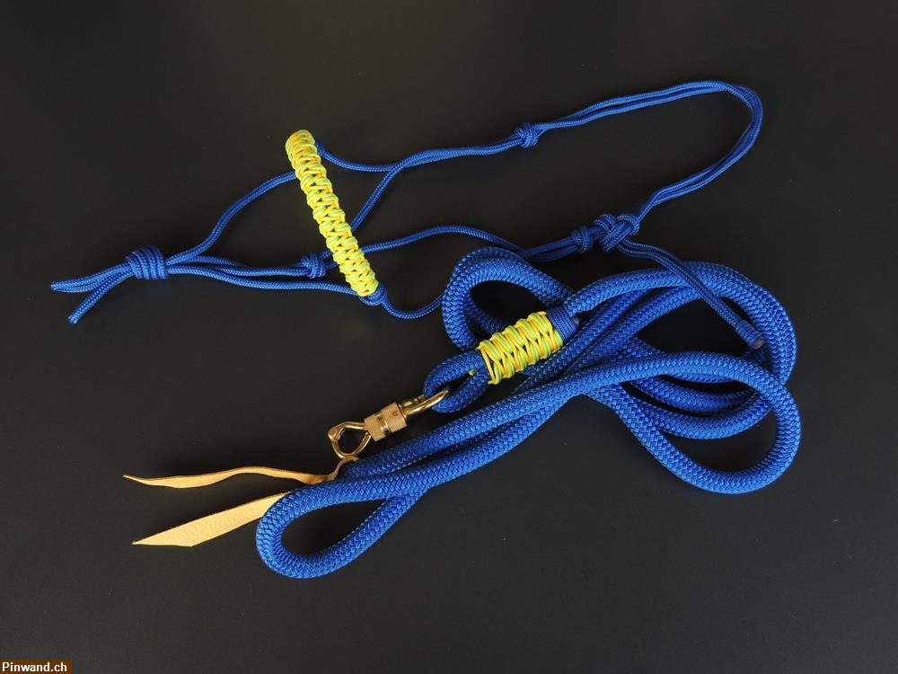 Bild 1: Knotenhalfter Cob mit Leadrope Elektrisch Blau