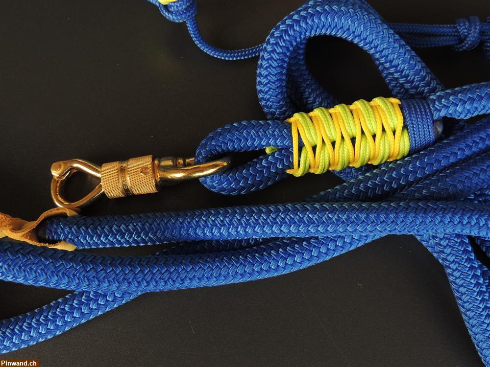 Bild 2: Knotenhalfter Cob mit Leadrope Elektrisch Blau