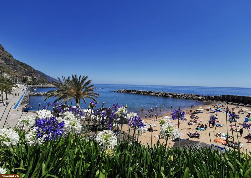 Bild 9: Madeira Ferienwohnung mit Meersicht nur an Langzeitmieter