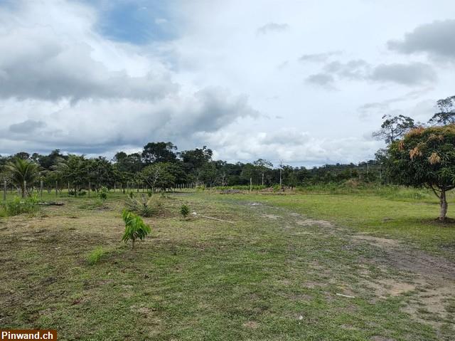 Bild 4: Brasilien 60 Ha Grundstück in der Nähe von Manaus AM