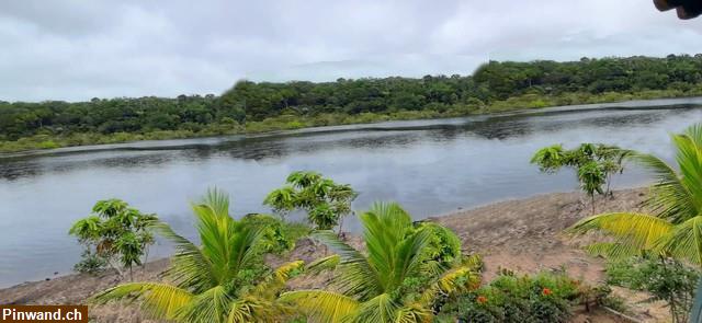 Bild 1: Brasilien 285 Ha Farm mit Rohstoffen Region Novo Aripuana