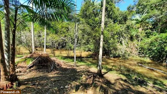 Bild 3: Brasilien 285 Ha Farm mit Rohstoffen Region Novo Aripuana