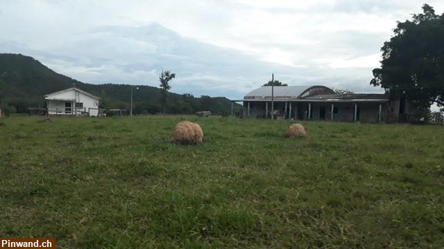 Bild 11: Brasilien 985 Ha grosse Fazenda Region Cuiabá MT