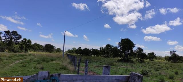 Bild 1: Brasilien 1'000 Ha Fazenda Region Cuiabá MT