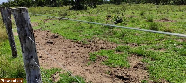 Bild 2: Brasilien 1'000 Ha Fazenda Region Cuiabá MT