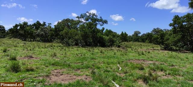 Bild 3: Brasilien 1'000 Ha Fazenda Region Cuiabá MT